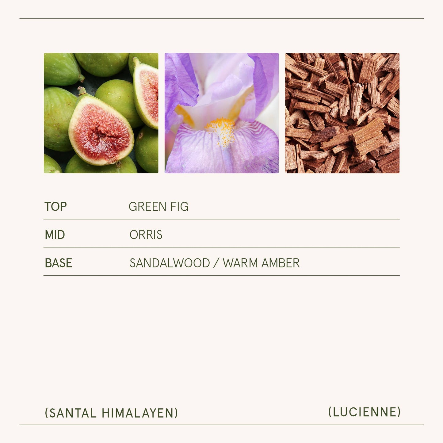 La Jolie Muse Lucienne - 8oz Natural Soy & Wooden Wick Candle