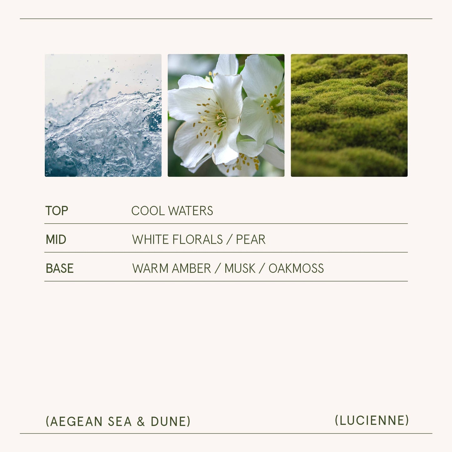 La Jolie Muse Lucienne - 8oz Natural Soy & Wooden Wick Candle