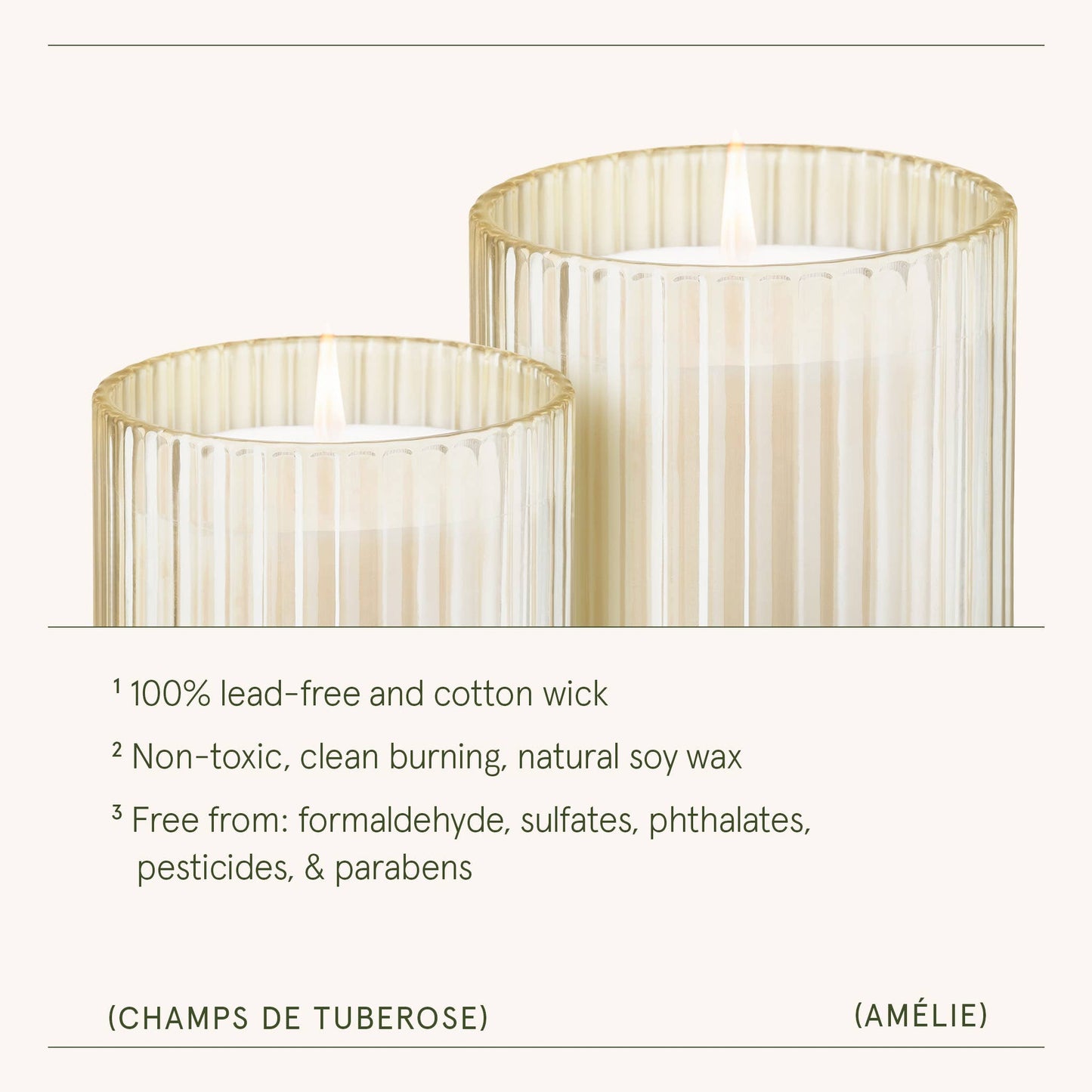 La Jolie Muse Amélie Collection - Champs de Tuberose 11oz Candle