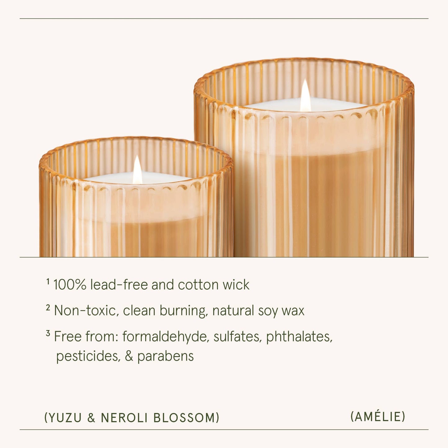 La Jolie Muse Amélie Collection - Yuzu & Neroli Blossom 11oz Candle